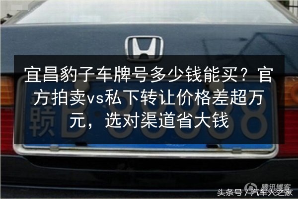 宜昌豹子车牌号多少钱能买？官方拍卖vs私下转让价格差超万元，选对渠道省大钱 第2张