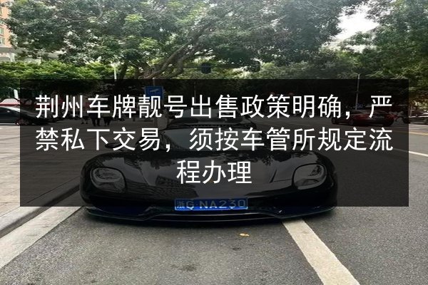 荆州车牌靓号出售政策明确，严禁私下交易，须按车管所规定流程办理 第2张