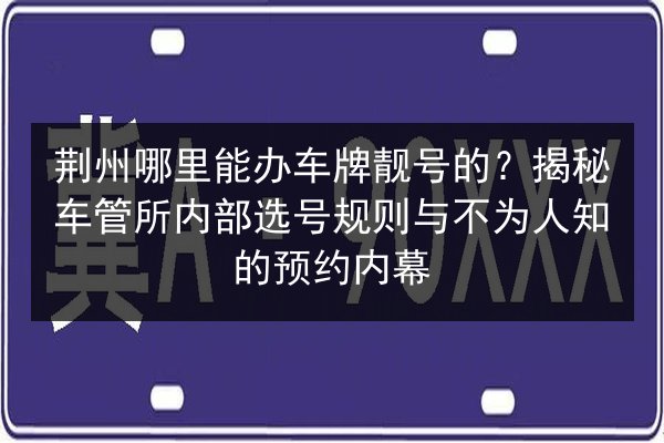 荆州哪里能办车牌靓号的？揭秘车管所内部选号规则与不为人知的预约内幕 第2张