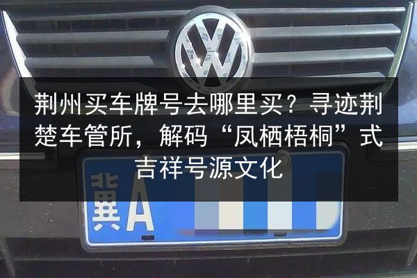荆州买车牌号去哪里买?寻迹荆楚车管所,解码“凤栖梧桐”式吉祥号源文化 第2张 荆州买车牌号去哪里买?寻迹荆楚车管所,解码“凤栖梧桐”式吉祥号源文化 第2张