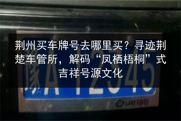 荆州买车牌号去哪里买?寻迹荆楚车管所,解码“凤栖梧桐”式吉祥号源文化 第3张 荆州买车牌号去哪里买?寻迹荆楚车管所,解码“凤栖梧桐”式吉祥号源文化 第3张