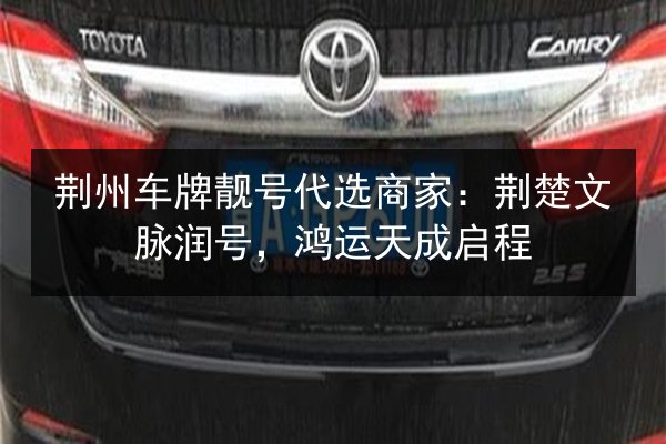 荆州车牌靓号代选商家：荆楚文脉润号，鸿运天成启程 第2张
