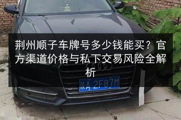 荆州顺子车牌号多少钱能买？官方渠道价格与私下交易风险全解析 第3张