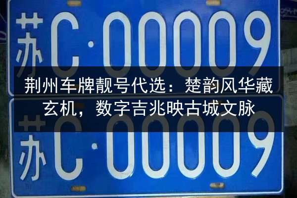 荆州车牌靓号代选：楚韵风华藏玄机，数字吉兆映古城文脉 第3张