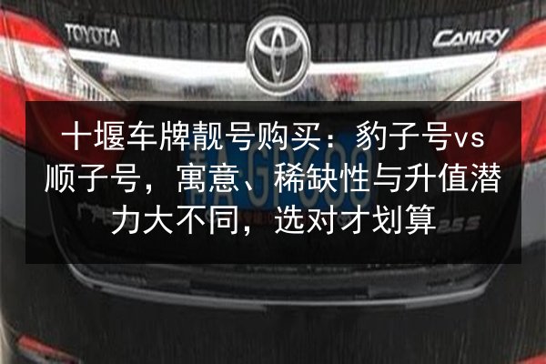 十堰车牌靓号购买：豹子号vs顺子号，寓意、稀缺性与升值潜力大不同，选对才划算