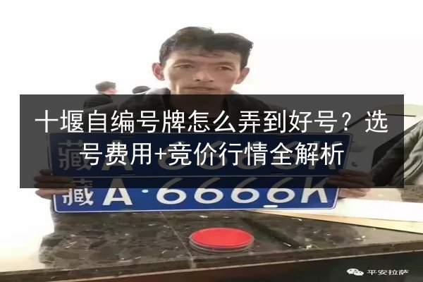 十堰自编号牌怎么弄到好号？选号费用+竞价行情全解析 第3张