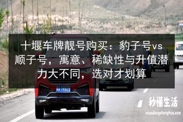 十堰车牌靓号购买：豹子号vs顺子号，寓意、稀缺性与升值潜力大不同，选对才划算 第3张