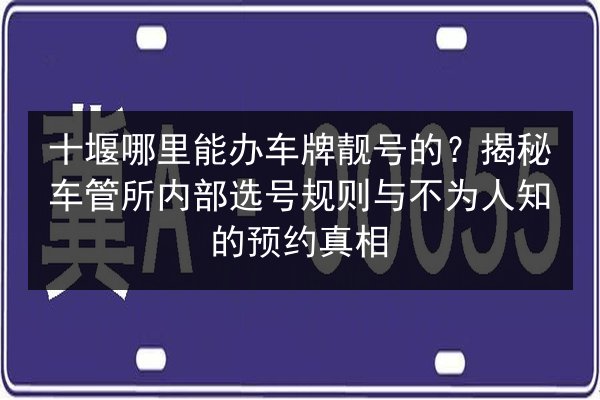 十堰哪里能办车牌靓号的?揭秘车管所内部选号规则与不为人知的预约真相 第2张 十堰哪里能办车牌靓号的?揭秘车管所内部选号规则与不为人知的预约真相 第2张