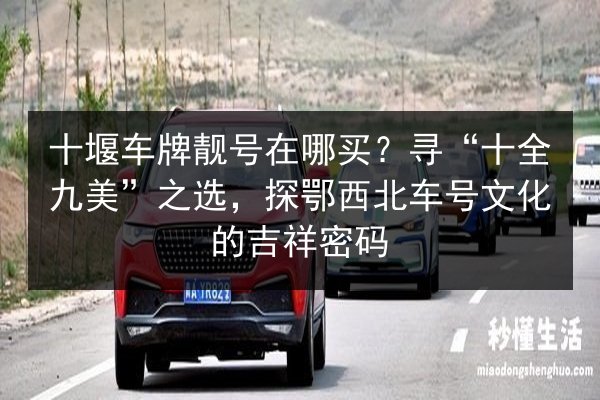 十堰车牌靓号在哪买?寻“十全九美”之选,探鄂西北车号文化的吉祥密码 第2张 十堰车牌靓号在哪买?寻“十全九美”之选,探鄂西北车号文化的吉祥密码 第2张