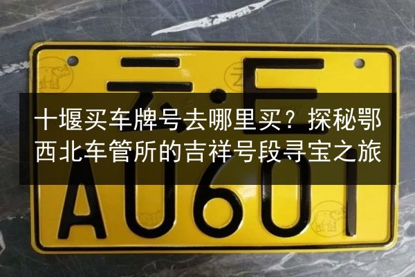 十堰买车牌号去哪里买？探秘鄂西北车管所的吉祥号段寻宝之旅 第2张