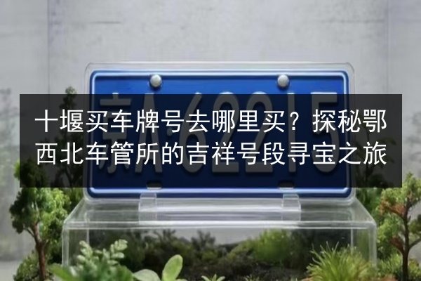 十堰买车牌号去哪里买？探秘鄂西北车管所的吉祥号段寻宝之旅 第3张