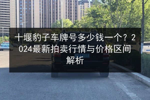 十堰豹子车牌号多少钱一个？2024最新拍卖行情与价格区间解析 第1张