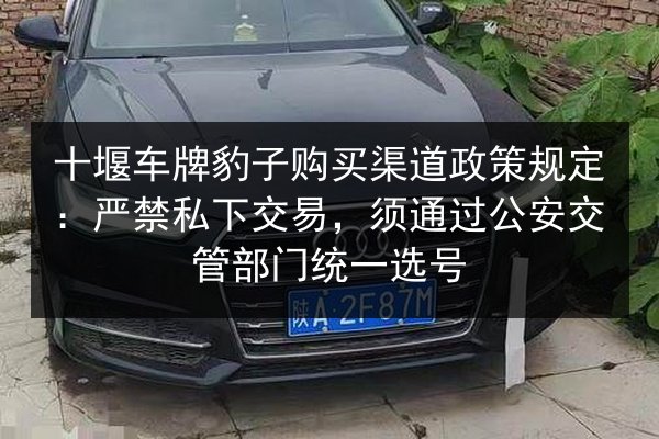 十堰车牌豹子购买渠道政策规定：严禁私下交易，须通过公安交管部门统一选号 第2张