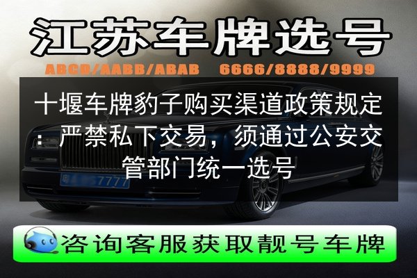 十堰车牌豹子购买渠道政策规定：严禁私下交易，须通过公安交管部门统一选号 第3张