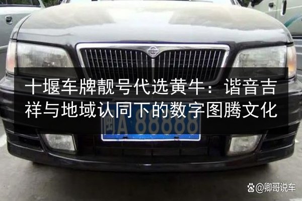 十堰车牌靓号代选黄牛：谐音吉祥与地域认同下的数字图腾文化 第2张