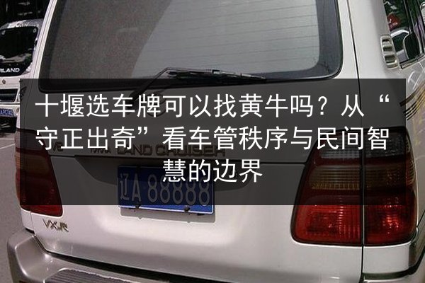 十堰选车牌可以找黄牛吗?从“守正出奇”看车管秩序与民间智慧的边界 第2张 十堰选车牌可以找黄牛吗?从“守正出奇”看车管秩序与民间智慧的边界 第2张