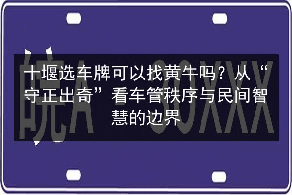 十堰选车牌可以找黄牛吗?从“守正出奇”看车管秩序与民间智慧的边界 第3张 十堰选车牌可以找黄牛吗?从“守正出奇”看车管秩序与民间智慧的边界 第3张