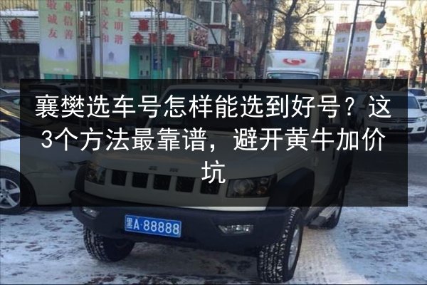 襄樊选车号怎样能选到好号？这3个方法最靠谱，避开黄牛加价坑 第2张