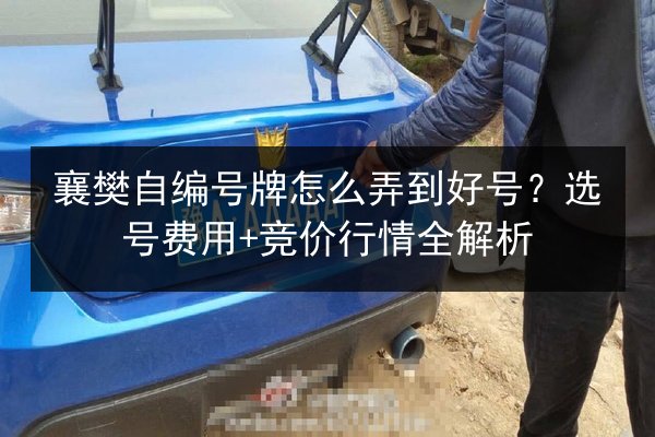 襄樊自编号牌怎么弄到好号？选号费用+竞价行情全解析