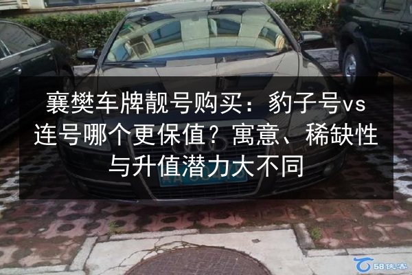 襄樊车牌靓号购买：豹子号vs连号哪个更保值？寓意、稀缺性与升值潜力大不同