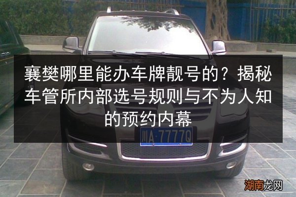 襄樊哪里能办车牌靓号的？揭秘车管所内部选号规则与不为人知的预约内幕 第3张
